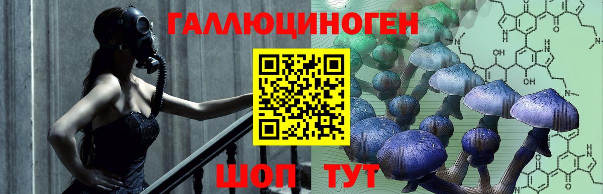 Псилоцибиновые грибы мицелий  Галлюциногенные грибы Psilocybe  Вход с VPN  Отрадный 